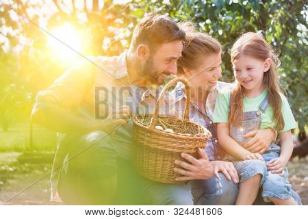 Mother and father with daughter are collecting eggs and putting them in a brown wicker baset, concept organic family lifestyle