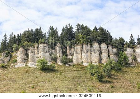 Plateau Of La Moliere In Autrans, Vercors, France