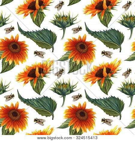 Seamless Pattern With Sunflowers And Flies On White Background. Collection Decorative Floral Design 