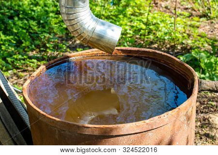 Rainwater In A Large Barrel, Rainwater Pipe