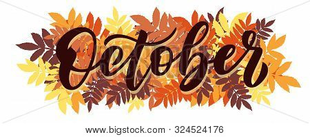 October, Vector Script With Decorative Rowan Leaves Elements. Hand Drawn Brush Lettering For Autumn 
