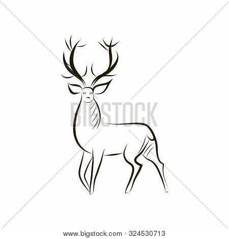 Contour Silhouette Of Graceful Deer. Black - White Vector Deer Silhouette Isolated. Idea For Tattoo,