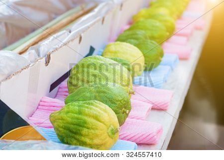 Jewish Festival Of Sukkot. Traditional Market Before The Holiday Of Sukkot.etrog Yellow Citron Tradi