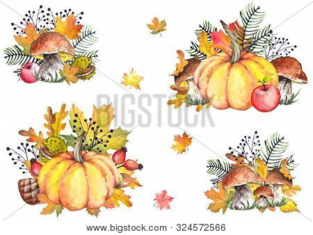 Autumn Illustrations With Pumpkins, Apples, Mushrooms, Pine Branches And Colorful Leaves. Watercolor