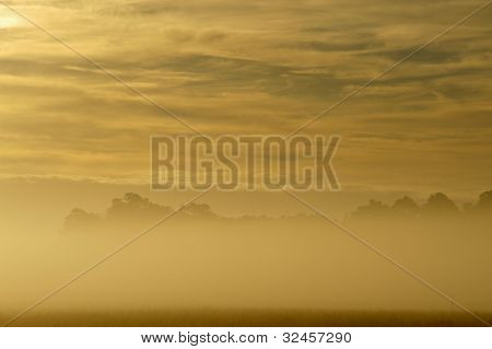 Złotego Brzasku nad mgły