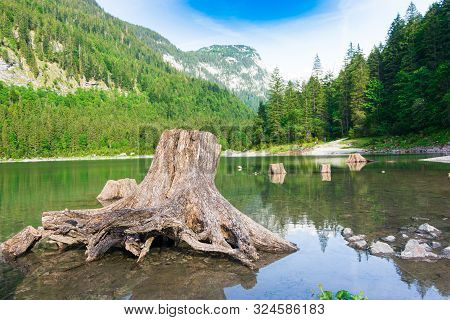 Lake Gosau (gosausee) In The Austrian Lake District