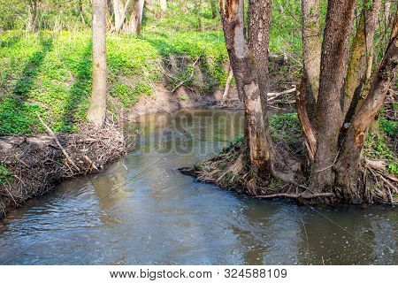 Small River Gorodyanka In Maloyaroslavetsky District, Kaluzhskiy Region, Russia