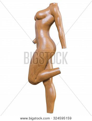 Female Mannequin. Torso