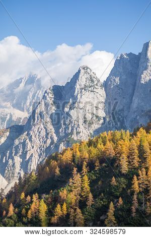 Alpine Autumn Landscape With Yellow Larch Forest, Near Kranjska Gora, Julian Alps, Slovenia, Europe