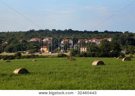 Morning In Village