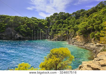Summertime: Tremiti Islands' Archipelago. San Domino Island:  Cove Spido (cala Spido). Gargano Natio