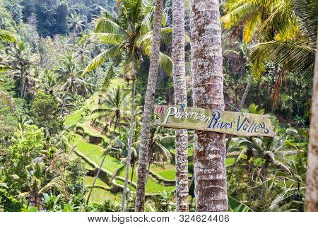 Padi Field, Gunung Kawi, Bali, Indonesia Pakerisan River Valley Sign