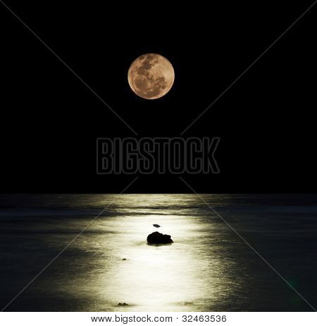 moonlight