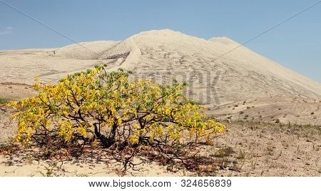 Cerro Blanco Sand Dune, One Of The Highest Dunes On The World, Located Near Nasca Or Nazca Town In P