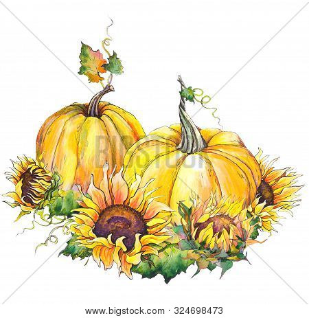 Thanksgiving And Harvesting Decoration. Autumn Pumpkins And Sunflowers. Watercolor Illustration Isol