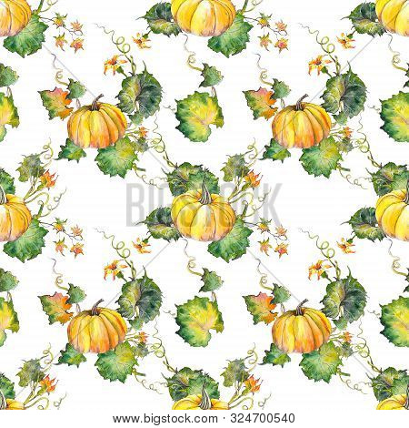 Seamless Pattern With Pumpkins, Leaves And Flowers. Watercolor Illustration On White Background.