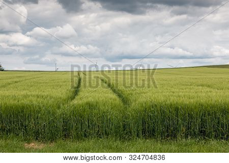 Big Grainfields In The Middle Of The German Countryside