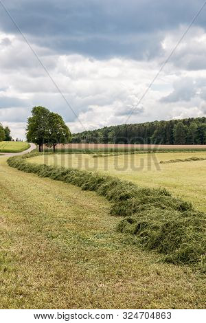 Big Meadow With Cut Grass In The Middle Of The German Countryside