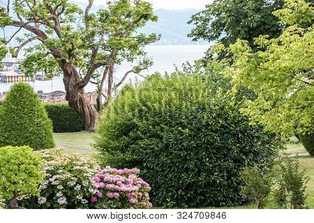 Heavenly Little Garden Near By The Lake