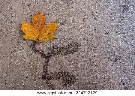 Conservation Of Nature And Ecosistem Concept With Leaf Maple And Metal Chain. Yellow Maple Leaf On A