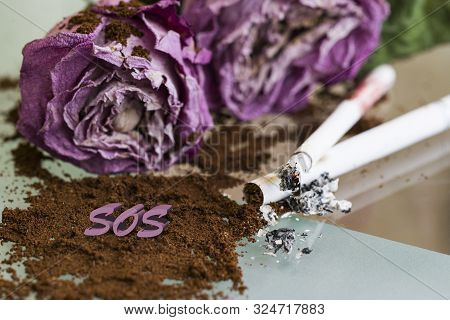 Faded Roses Lie On The Glass Surface. Next To The Roses Are A Cigarette And A Cigarette Butt. Before
