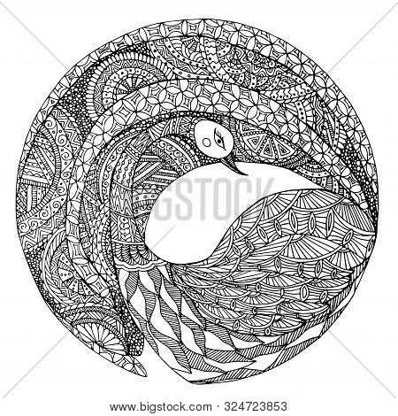 Hummingbird Cartoons Doodle. Monochrome Art Graphic Hand Drawn Object Stock Vector Illustration For 