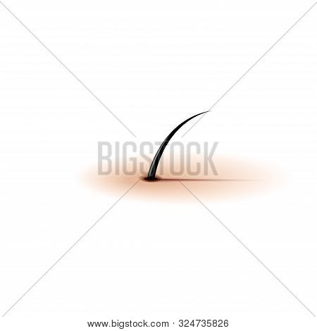 One Human Hair Realistic Vector Illustration For Advertising Depilatories