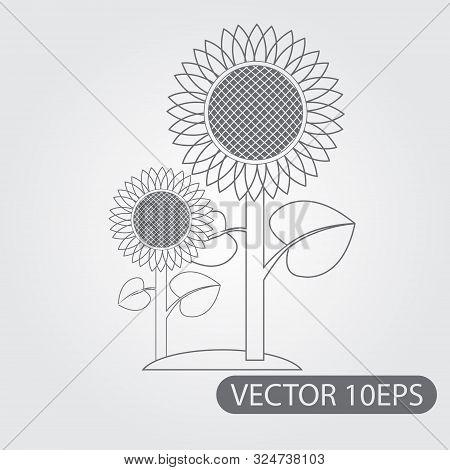 Sunflowers Icon Black And White Outline Drawing.