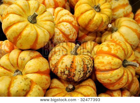 Légumes d'automne