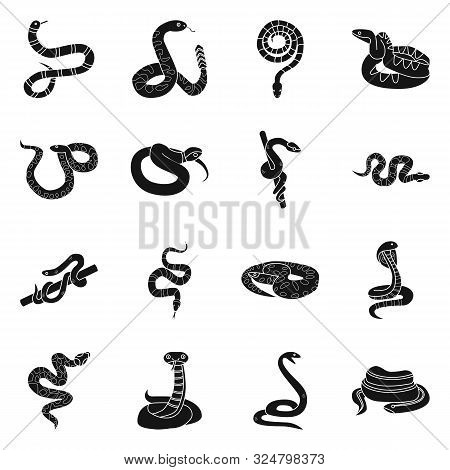 Vector Design Of Snake And Creepy Logo. Collection Of Snake And Poison Stock Vector Illustration.