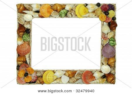 Quadro de Shell do mar