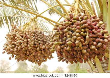 Dates3