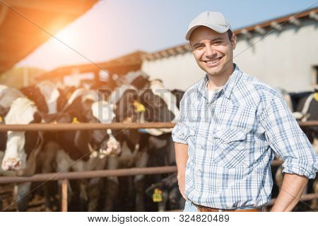 Breeder in front of his cows
