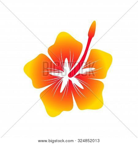 Hawaiian Hibiscus Flower Vector Symbol Graphic Logo Design Template
