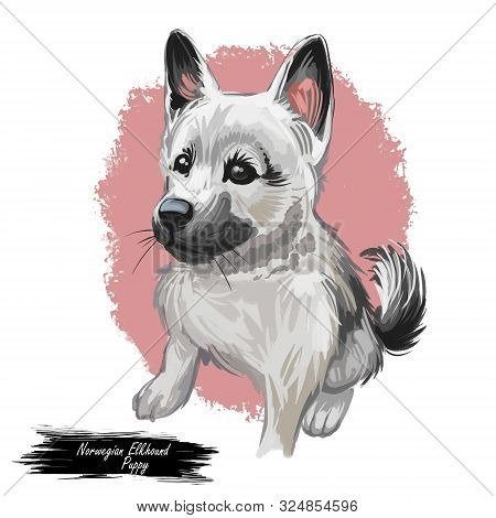 Norwegian Elkhound Puppy, Harmaa Norjanhirvikoira Elghund Digital Art