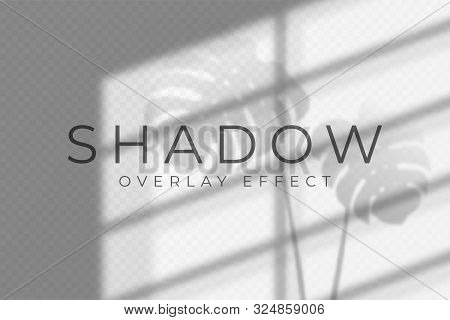Shadow Overlay Effect. Vector Shadow And Light Overlay Effect, Natural Lighting Scene. Mockup Of Tra