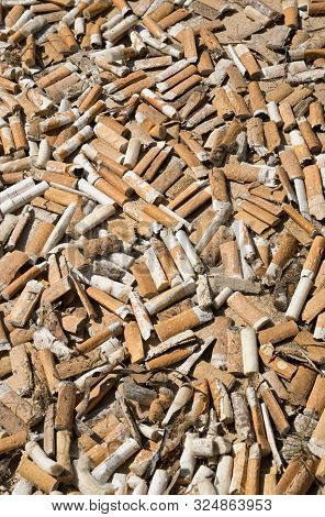 Collection Of Cigarette Butts By Volonteers On A Beach
