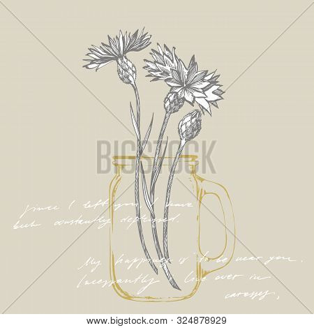 Blue Cornflower Herb Or Bachelor Button Flower Bouquet Isolated On White Background. Set Of Drawing 