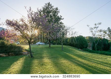 Famous Carmel Forest Resort In The Galillee, Israek