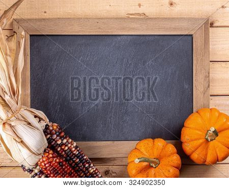 Blank Chalkboard With Colorful Mini Pumpkins And Indian Corn