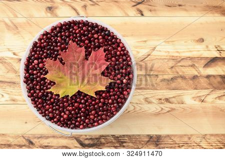 The Full Bucket Of Cranberries (oxycoccus) Is On Wooden Background, Top View.