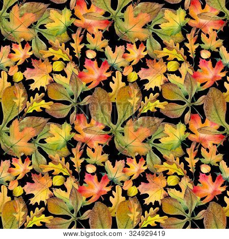 Seamless Pattern With Colorful Oak, Maple And Chestnuts Leaves. Watercolor Illustration On Black Bac