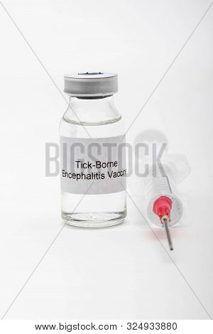 Medical Concept Showing Medical A Medical Vial Reading Tick-borne Encephalitis Vaccine And A Syringe