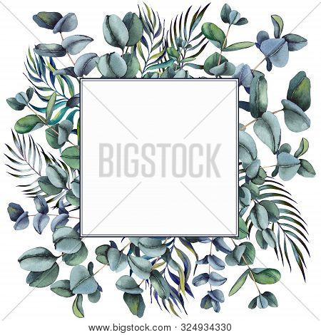 Floral Frame With Green Eucalyptus Leaves. Watercolor On White Background.