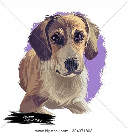 Schweizer Laufhund Dog Animal Breed With Long Ears German Puppy, Digital Art Illustration. Pet Of Ge