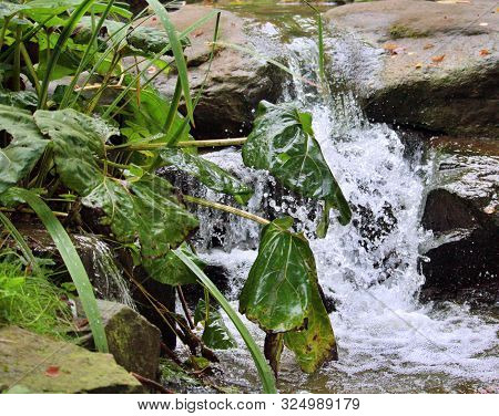 Miniature Waterfall In A Very Small River