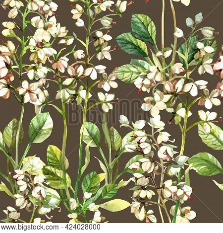 Abstract Hand Painted Seamless Repeated Background Of Wild White Flowers And Green Leaves Of Pyrola 