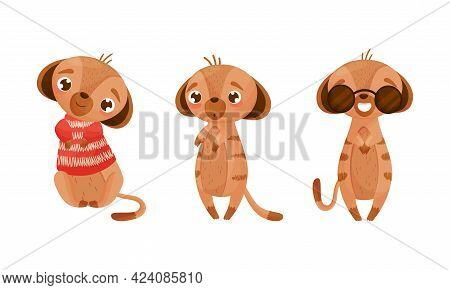 Cute Meerkat Or Suricate With Brindled Coat Wearing Sunglasses And Knitted Sweater Vector Set