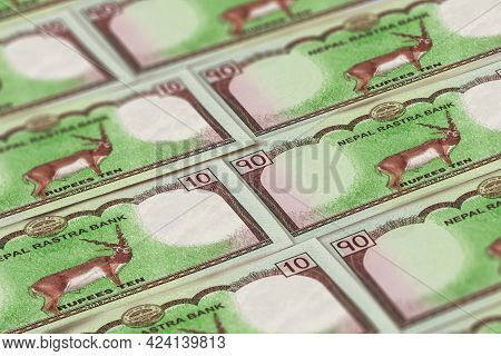 Money Of Nepal. Nepalese Rupee Bills. Npr Banknotes. 10 Rs. Business, Finance, News Background.