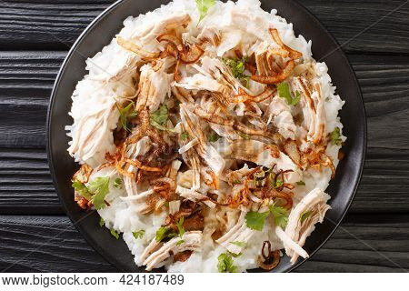 Hirshon Jiayi Taiwanese Turkey Rice Closeup In The Plate On The Table. Horizontal Top View From Abov